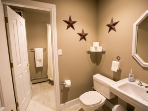 Lower level bathroom