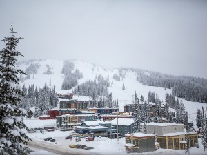 Views from the living room - ski in / ski out